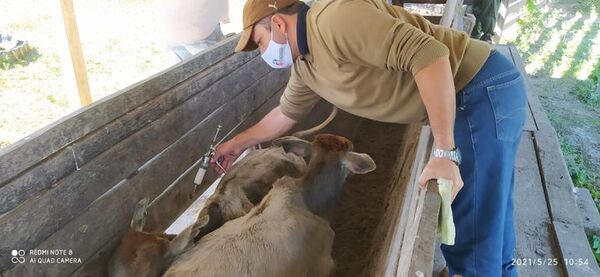 Terminó con éxito el periodo de vacunación en Ñeembucú - Nacionales - ABC Color