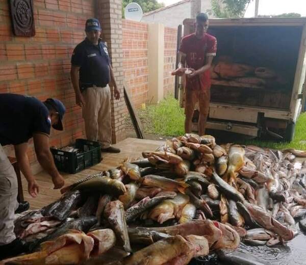 Crónica / Incautaron gran cantidad de pescado que era trasladado ka'ipe