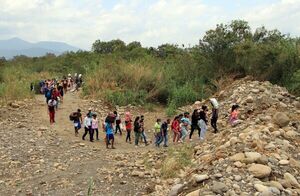 La pendular migración venezolana en Suramérica mira ahora hacia EE.UU. - Mundo - ABC Color