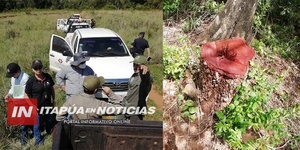 CONSTATAN TALAS, QUEMAS Y MUERTES DE PÁJAROS EN LA RESERVA - Itapúa Noticias