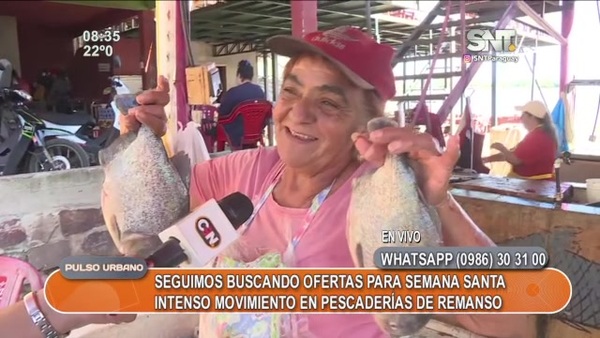 Las ofertas para la Semana Santa - SNT