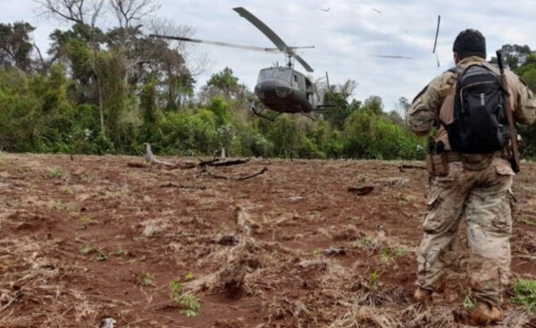 Paraguay y Brasil eliminaron 397 toneladas de marihuana en cinco días