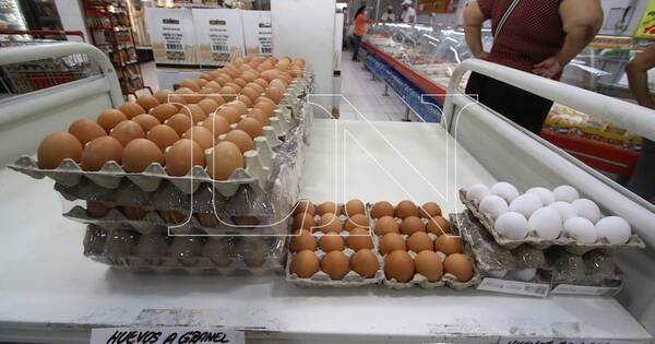 La Nación / Huevo sube de nuevo y sigue escasez a nivel local