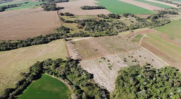 Sector productivo impulsó la modernización del estatuto agrario y las leyes contra la deforestación