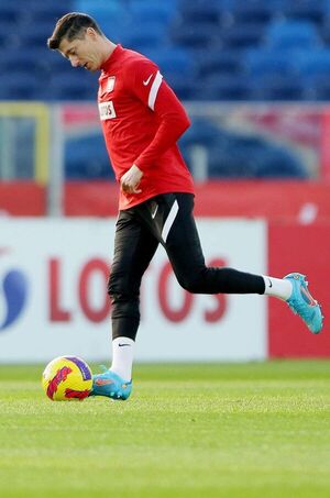 Zlatan Ibrahimovic o Robert Lewandowski, solo uno irá a Qatar - Fútbol - ABC Color