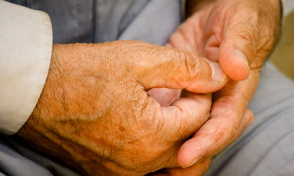 Se incorporaron más de 11.000 adultos mayores al Programa de Pensión Alimentaria - OviedoPress