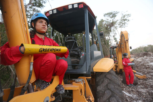 Activistas de Greenpeace se encadenan a maquinaria del Tren Maya - MarketData