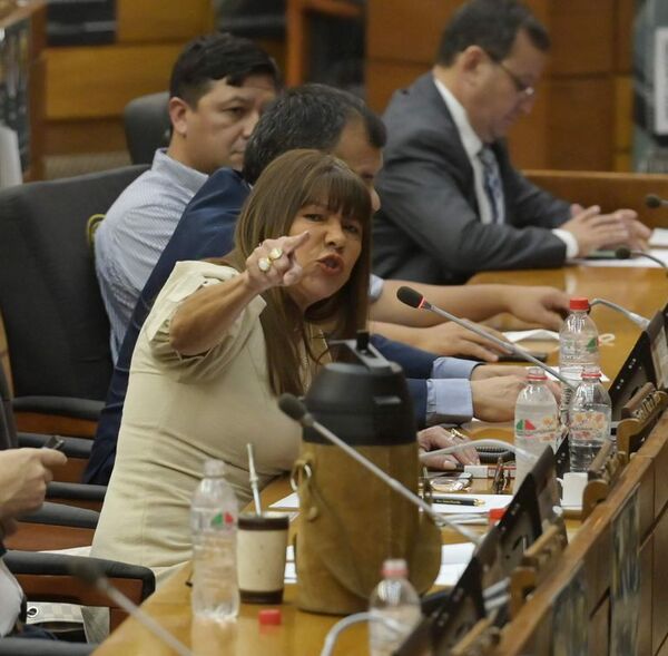 Otro diputado cartista querella a Celeste Amarilla - Nacionales - ABC Color