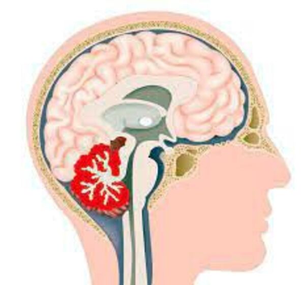 Neurociencias (7) - Escolar - ABC Color