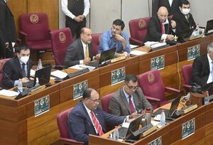 “Ni los senadores usan más”, dice Ledesma para justificar derogación del uso del tapabocas - Nacionales - ABC Color