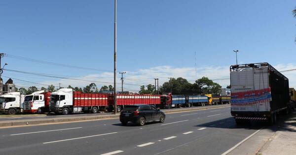 La Nación / Transportistas de ganado suben precio del flete por incremento del combustible