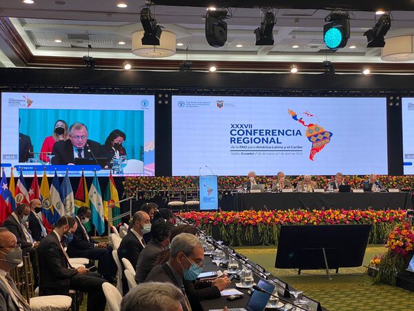 Ministro expuso su intervención en la 37ª Conferencia Regional de la FAO - .::Agencia IP::.