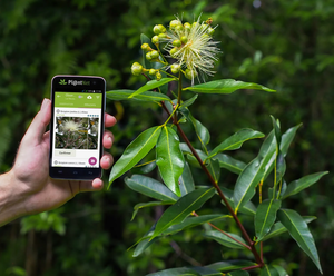 La app que no nececitás pero que sacará tu "señora de las plantas" interior - Megacadena — Últimas Noticias de Paraguay
