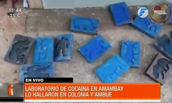 Hallan laboratorio para procesar cocaína en Amambay | Telefuturo