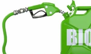 SET exonera el IVA a elaboración de biocombustible