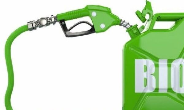 SET exonera el IVA a elaboración de biocombustible