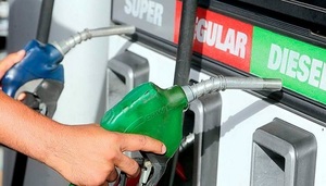 Apesa solicita “impuesto cero” por 90 días