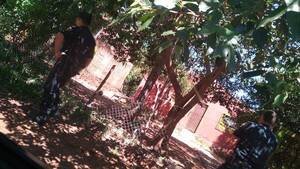 Crónica / Una jueza determinó que doña se vaya de la casa ¡por violenta!