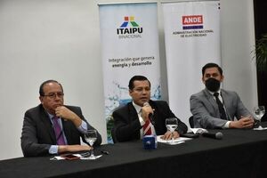 ANDE anuncia histórica licitación de 1.000 MW para su venta desde 2023 - Nacionales - ABC Color