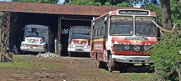 Ciudad del Este: repintan buses de empresa sancionada - ABC en el Este - ABC Color