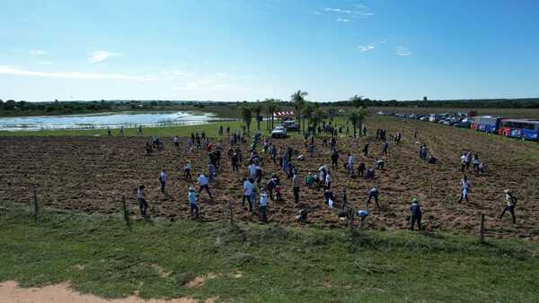 Diario HOY | A Todo Pulmón lleva adelante plantación de miles de árboles nativos