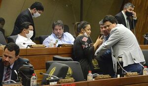Operación Cicatriz despenalizará las declaraciones juradas falsas  - Nacionales - ABC Color