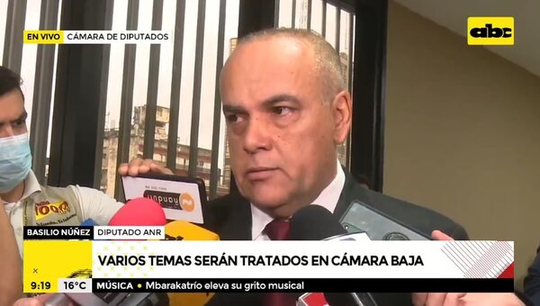 Cartistas insisten en despenalizar las declaraciones juradas falsas: alegan “olvidos” - Nacionales - ABC Color