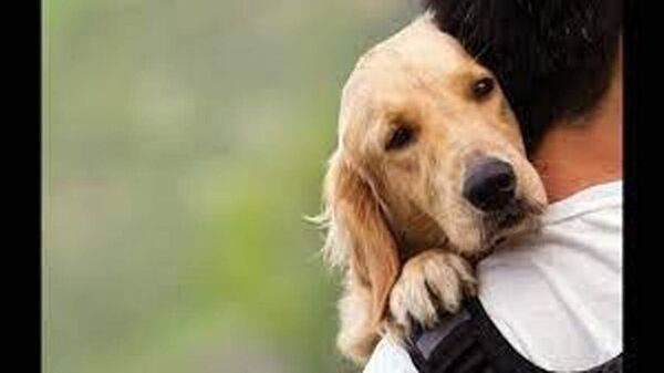 Protectores de animales: esperanza para mascotas abandonadas - Mascotas - ABC Color