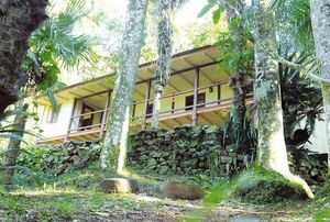 Museo Moisés Bertoni de Franco lleva más de un año sin recibir visitantes - La Clave