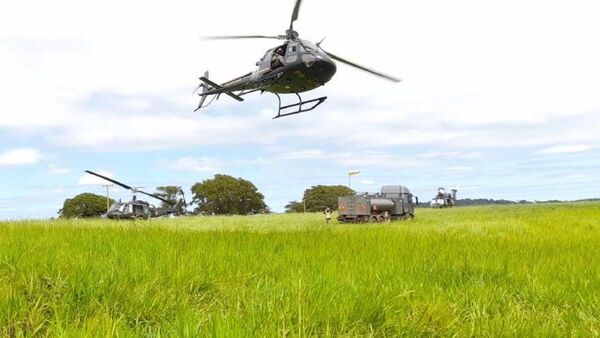 Destruyen 669 toneladas de marihuana en Amambay