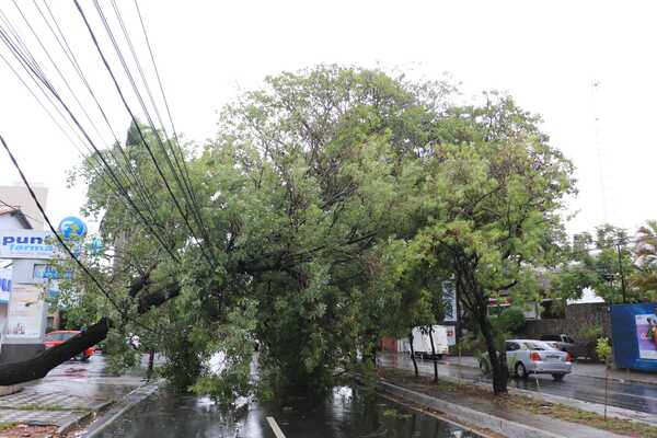Diario HOY | Lluvias con fuertes vientos dejan a miles sin electricidad