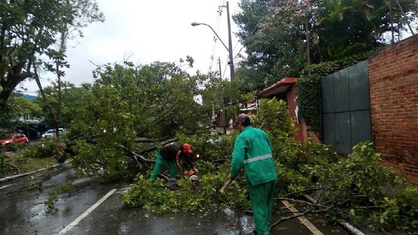 Diario HOY | Cuadrillas municipales trabajan para remover árboles caídos en Asunción