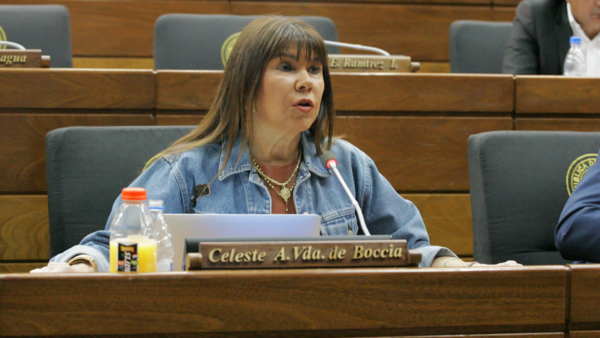 Amarilla recurrirá a sus abogados si es desaforada - El Independiente