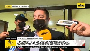 Tratamiento de ley que despenaliza las DDJJ - ABC Noticias - ABC Color