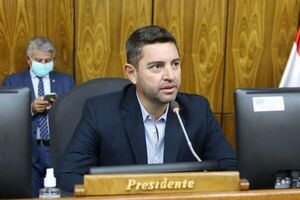 Pedro Alliana considera que corresponde desaforar a Celeste Amarilla - El Trueno
