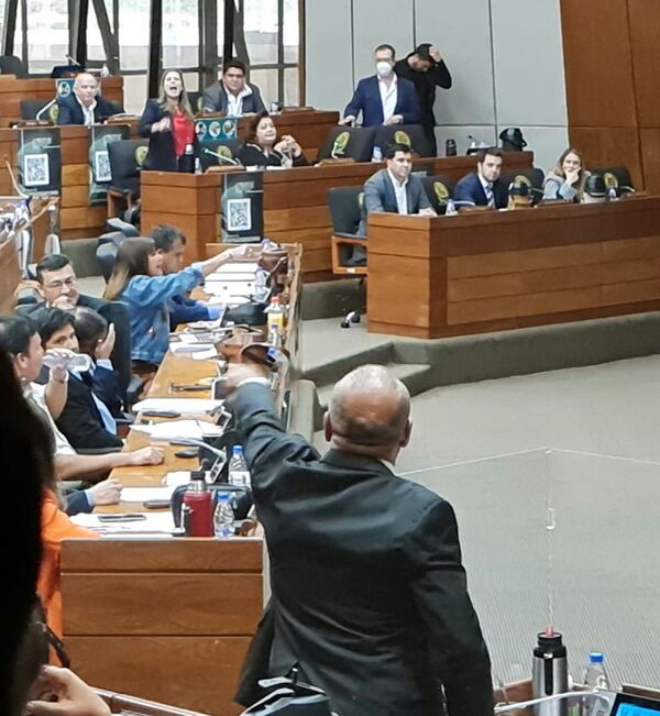 Peleas, gritos y tensión en la sesión de la Cámara de Diputados - Nacionales - ABC Color