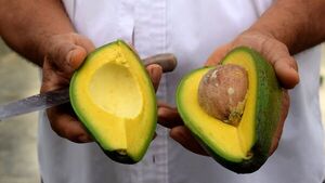 La ingesta de aguacate, asociada con un menor riesgo cardiovascular