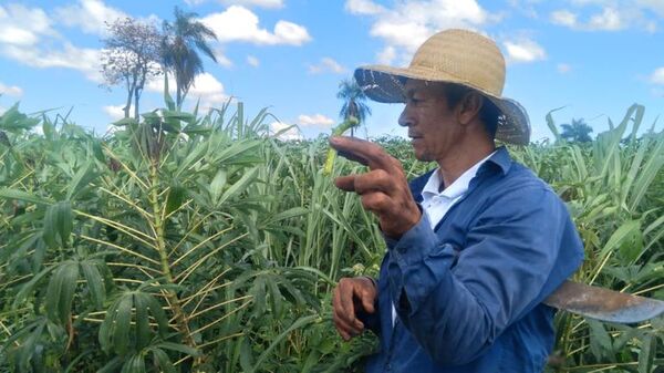 Lluvias son propicias para el cultivo, pero ausencia estatal dificulta producción - Nacionales - ABC Color