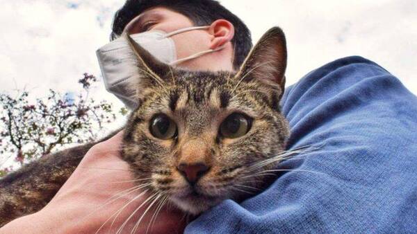 Crónica / Atentis los animaleros: Ofrecen castración y atención veterinaria ¡gratis!