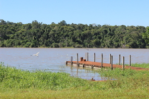 Reserva Limoy es uno de los mayores remanentes del Bosque Atlántico - La Clave