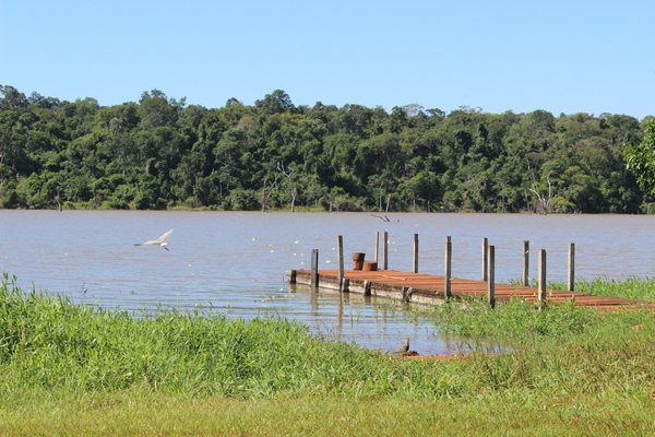 Reserva Limoy es uno de los mayores remanentes del Bosque Atlántico - La Clave
