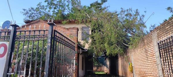 Crónica / ¡Milagro! Feroz árbol cayó sobre una casa pero se salvaron