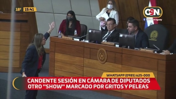 Candente sesión en cámara de diputados - C9N
