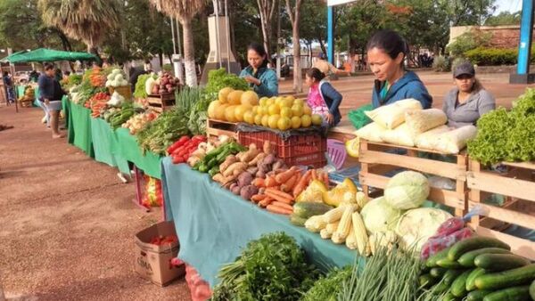 Preparan Expo Feria de la Agricultura Familiar en Concepción