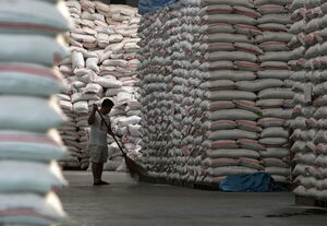 Ecuador proveerá de 104.000 toneladas de arroz a Colombia en 2022 - MarketData