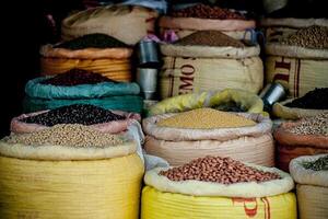 Diario HOY | Guerra en Ucrania amenaza la seguridad alimentaria mundial, dice la FAO
