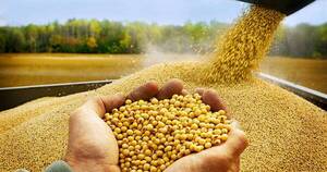 La Nación / Ajuste depende de nueva zafra agrícola