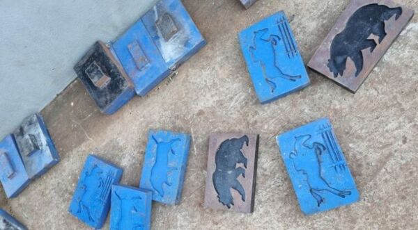 Laboratorio tipo “Breaking Bad” de PJC producía cocaína para varias organizaciones criminales