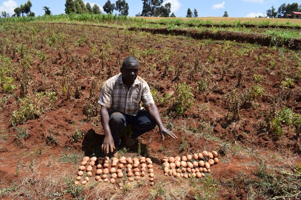 Rizobacter aporta sus tecnologías biológicas en el despegue de la agricultura africana