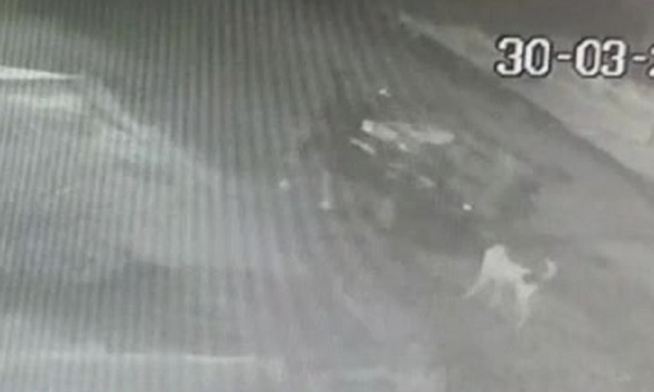 Estrangulan a hombre y abandonan cuerpo en Hernandarias - SNT